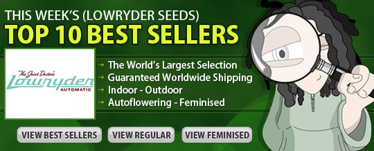 best place buy weed seeds canada