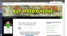 buy feminized cannabis seeds usa