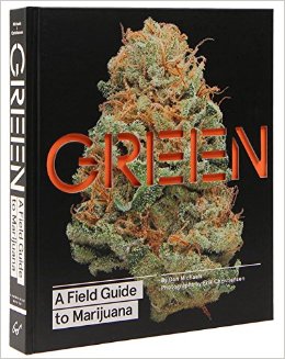 buy single feminized cannabis seeds