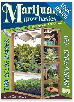 best seeds for growing cannabis