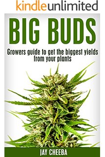 best marijuana seed first time grower