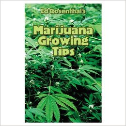 best time to plant marijuana seeds in australia