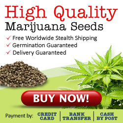 best weed seed