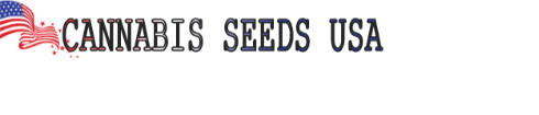 best way buy marijuana seeds usa