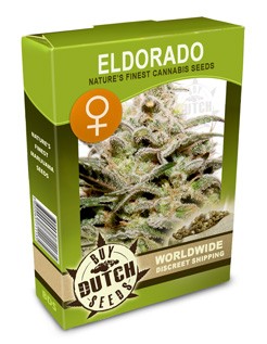 best weed seeds to buy