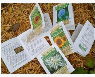 amsterdam marijuana seeds review