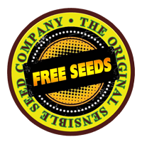 brampton ontario marijuana seeds