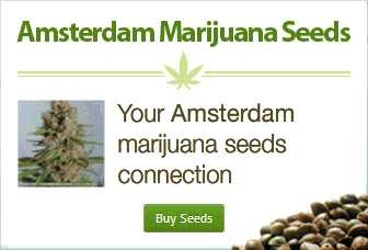 canadian marijuana seedbanks